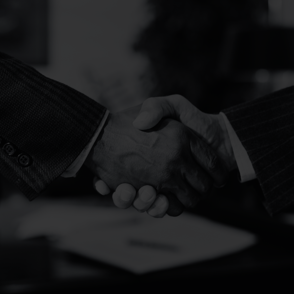 SEDIBOLOGO - HANDSHAKE